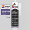 Mattes Silikon nach Brillux Scala Farben – SiliMatte24 310 ml