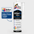 Silikon nach Brillux Scala Farben – SiliSeal24 310 ml
